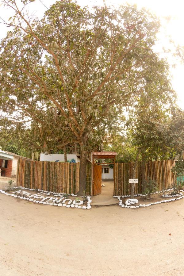 Palomino Inn Esterno foto