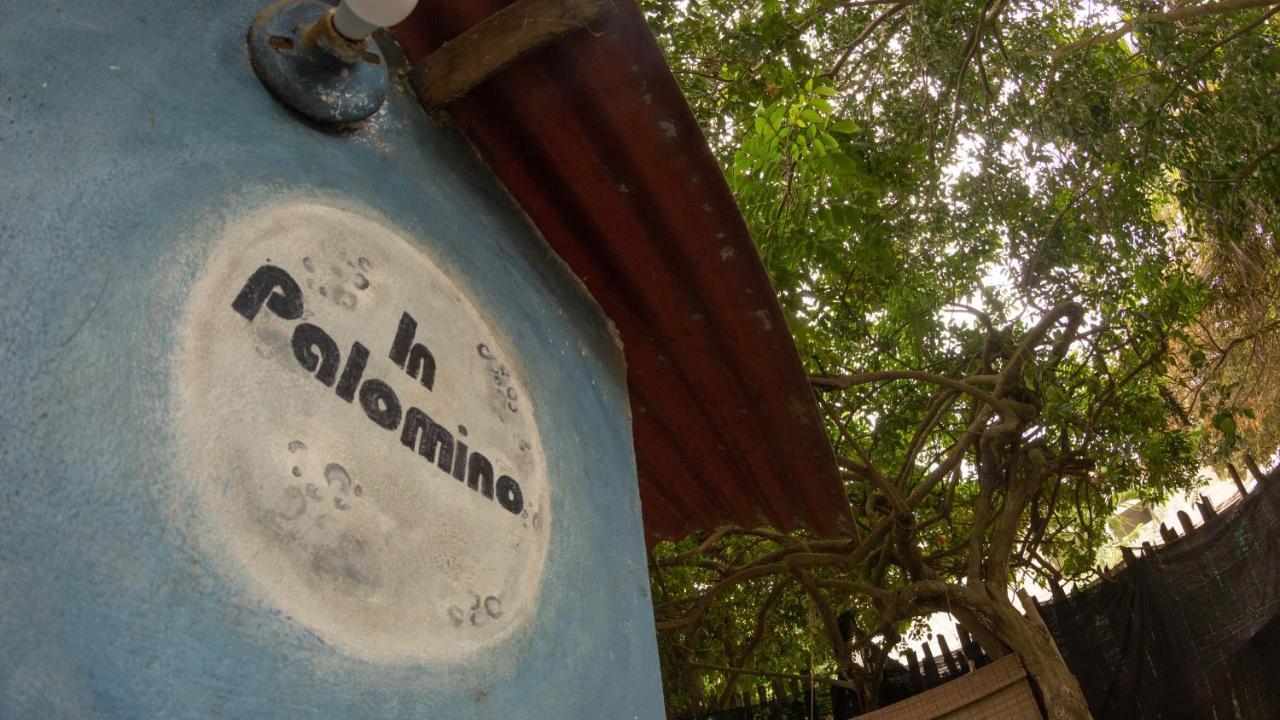 Palomino Inn Esterno foto